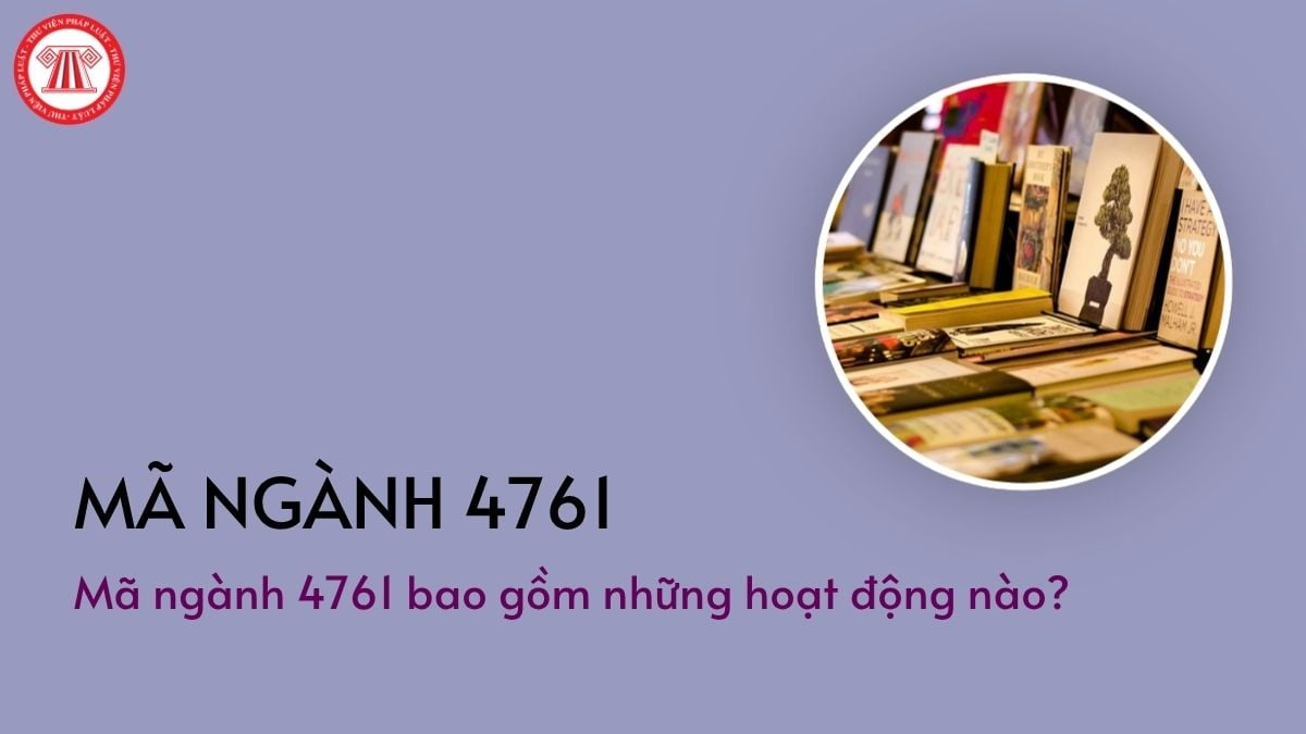Pháp luật