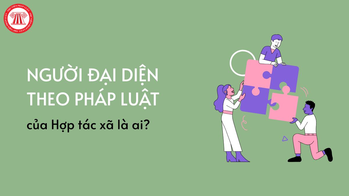 Pháp luật