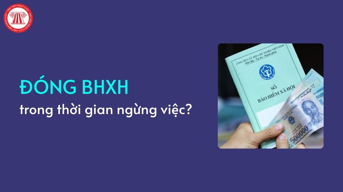 Pháp luật