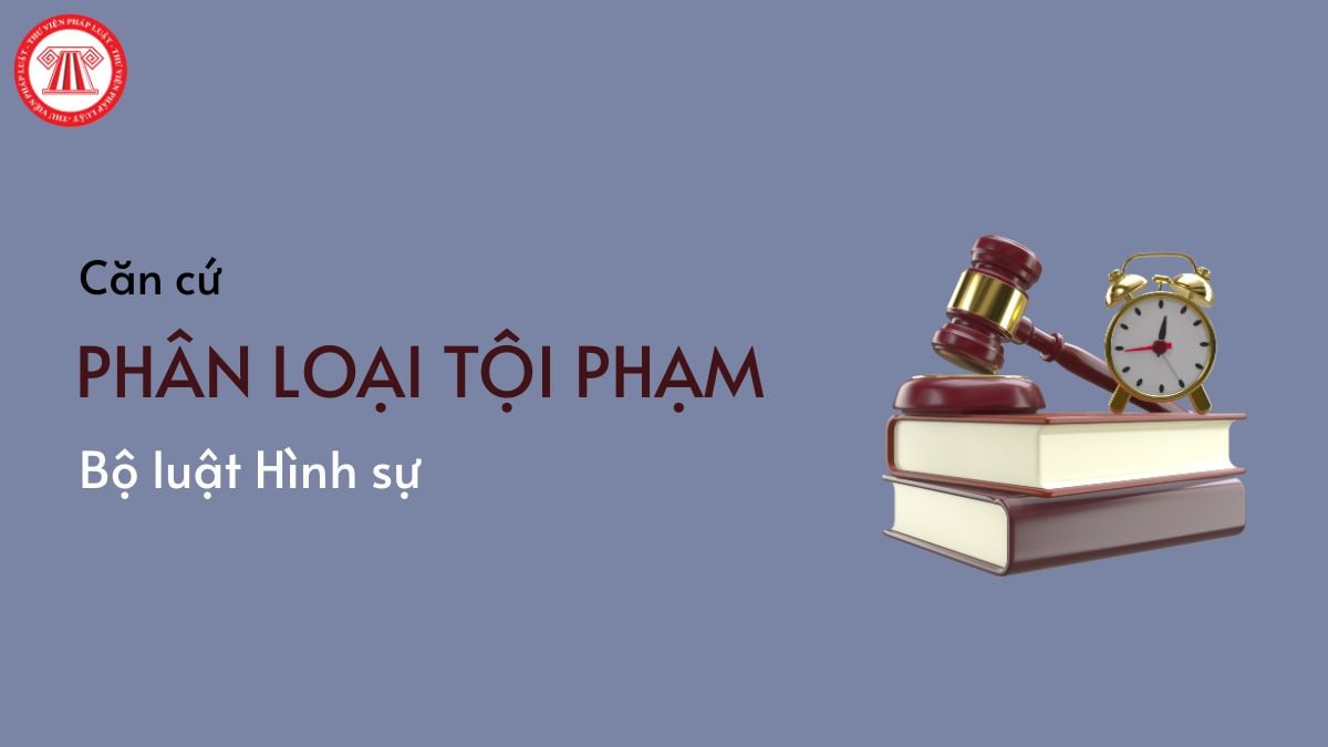 Pháp luật