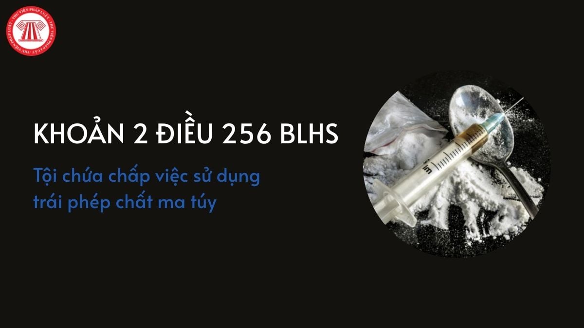 Pháp luật