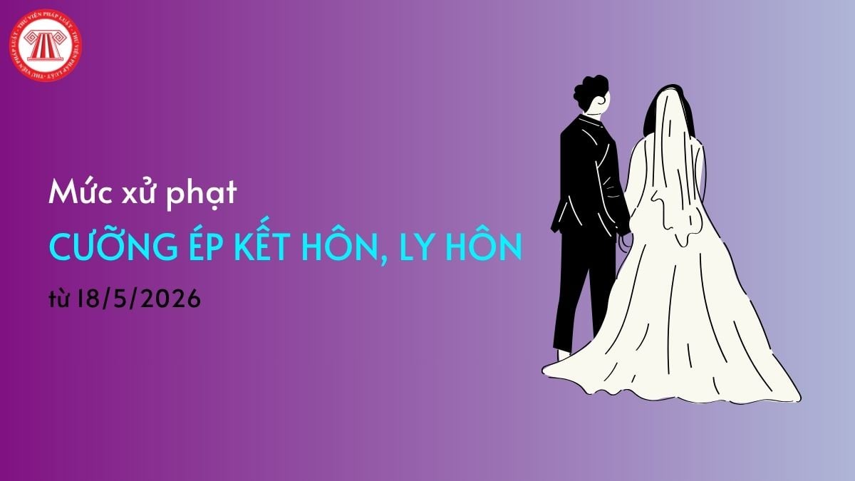 Pháp luật