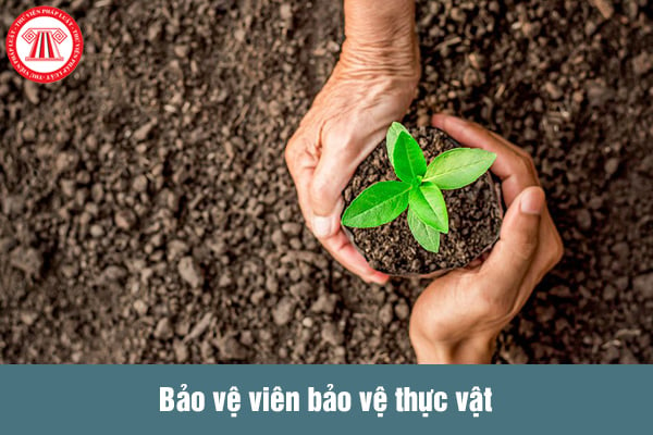 Bảo vệ viên bảo vệ thực vật