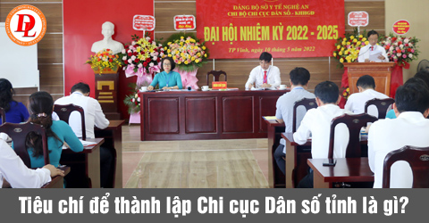 chi-cuc-dan-so-tinh