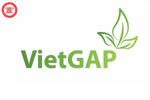 VietGAP là gì? Chứng nhận VietGAP hiểu thế nào?