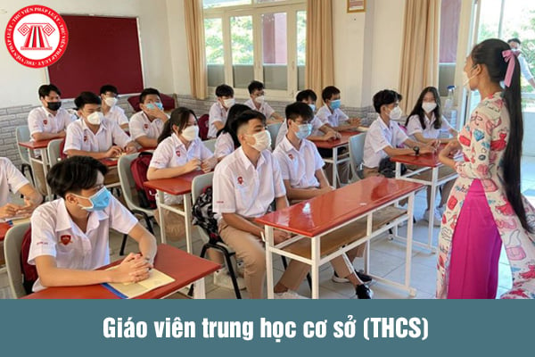 Giáo viên trung học cơ sở (THCS)