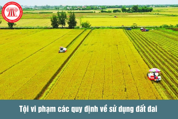 Lấn đất nông nghiệp