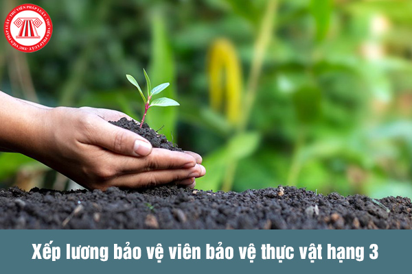 Lương bảo vệ viên bảo vệ thực vật