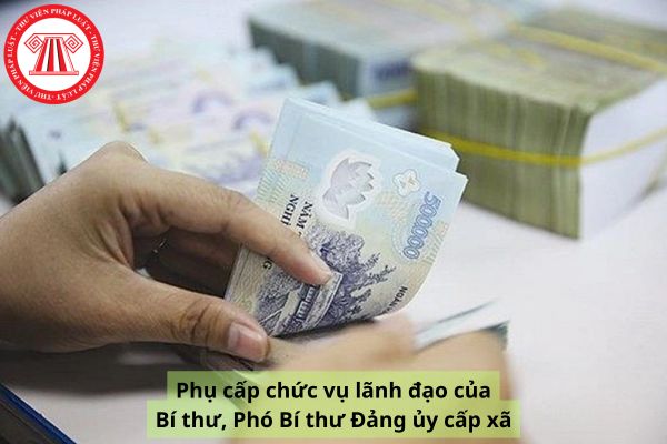 Pháp luật