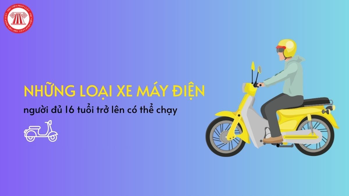 Pháp luật