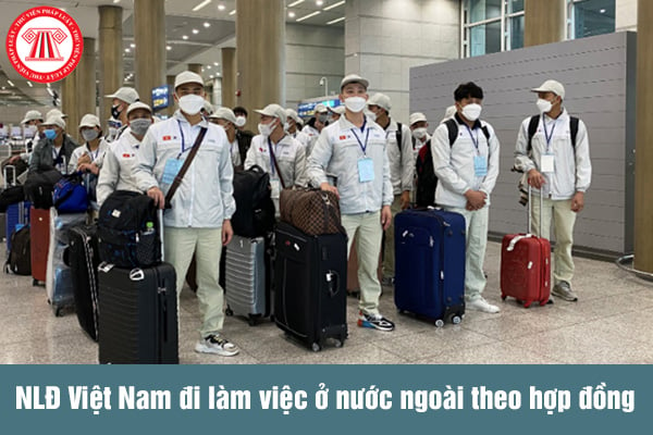 NLĐ Việt Nam đi làm ở nước ngoài