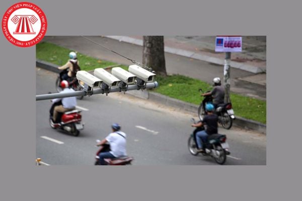 Pháp luật