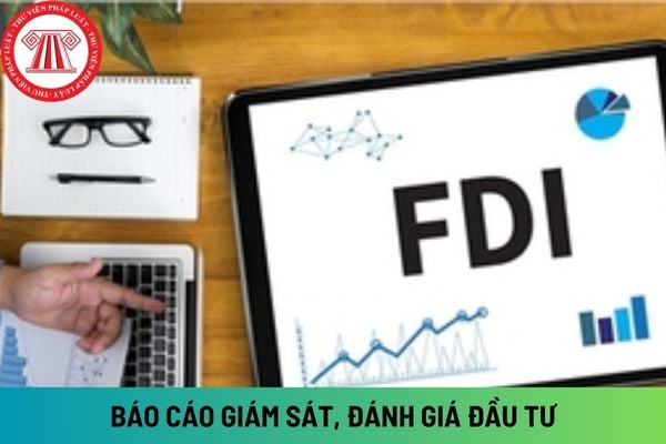 Doanh nghiệp không cập nhật báo cáo giám sát, đánh giá đầu tư lên Cổng thông tin quốc gia thì bị xử phạt hành chính như thế nào?