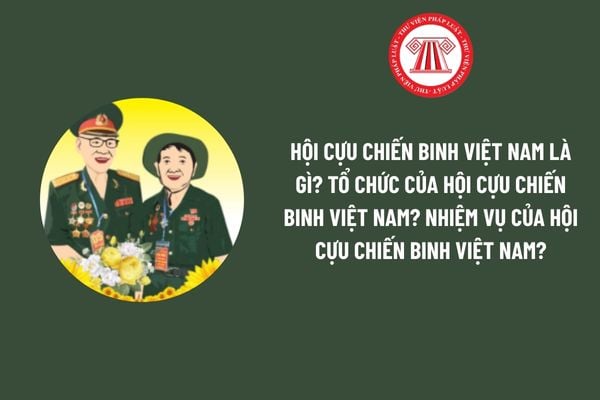 Pháp luật