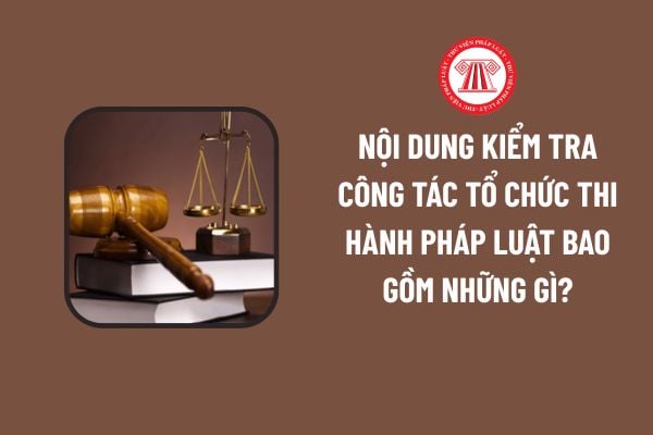 Pháp luật