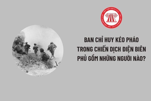 Pháp luật