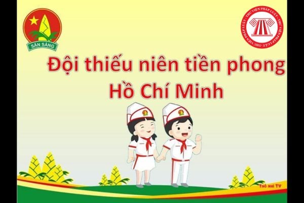 Pháp luật