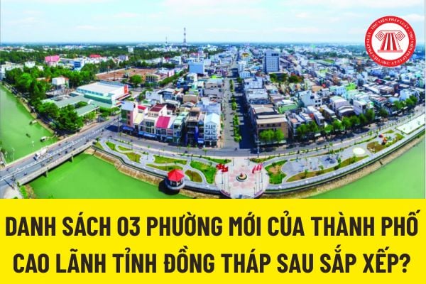 Pháp luật