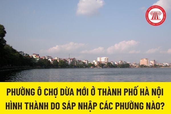Pháp luật