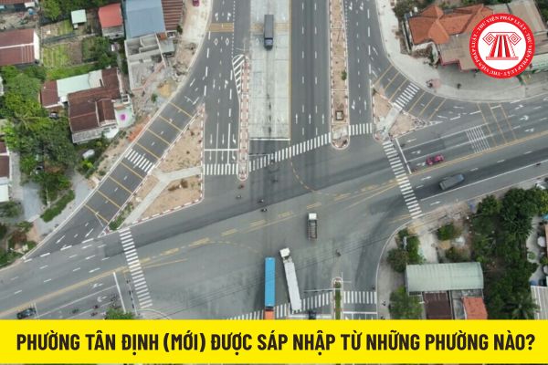 Pháp luật