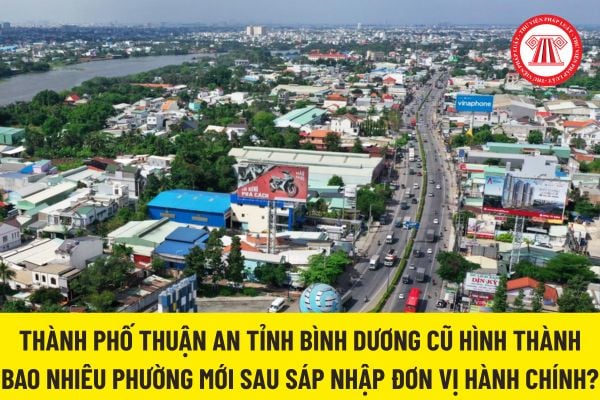 Pháp luật