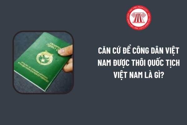 Pháp luật