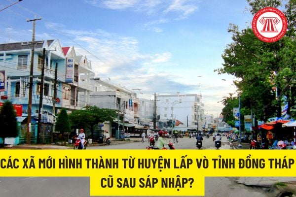 Pháp luật
