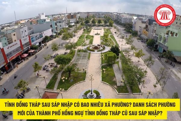 Pháp luật