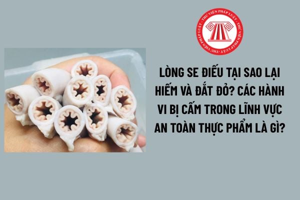 Pháp luật