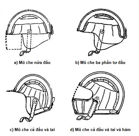 Hình 1