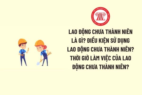 Pháp luật