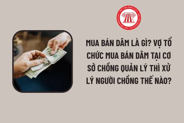 Pháp luật