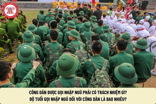 Pháp luật