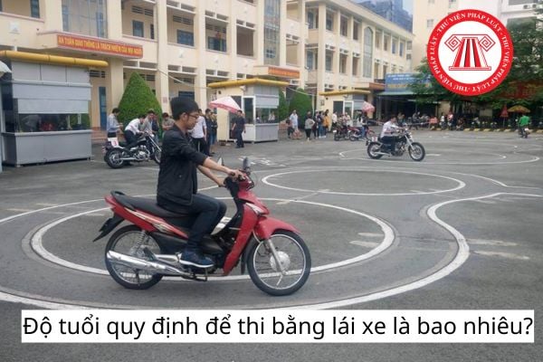 Pháp luật