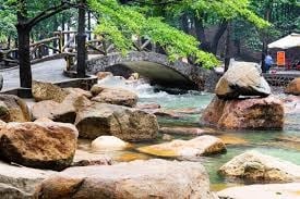 Gợi ý 10 địa điểm đi chơi cùng mẹ nhân Ngày của mẹ tại thành phố Hồ Chí Minh? Ngày của mẹ có phải lễ lớn?