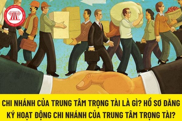 Pháp luật