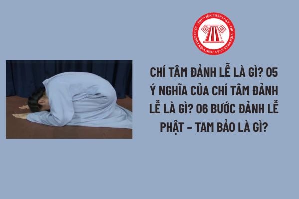 Pháp luật