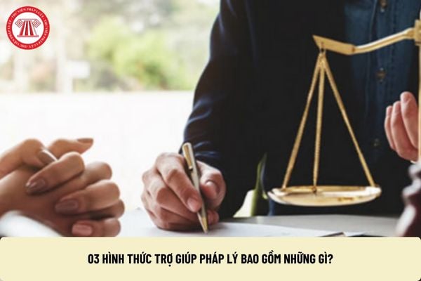 Pháp luật