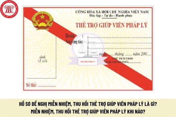 Pháp luật