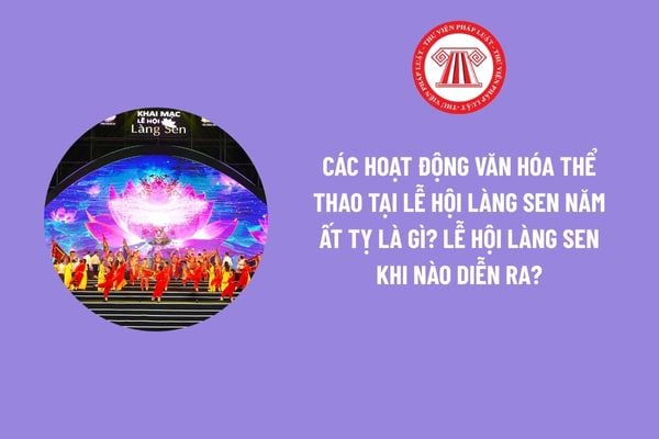 Pháp luật