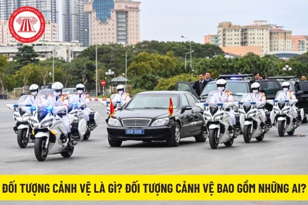 Pháp luật