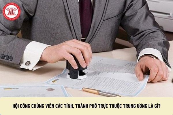 Pháp luật
