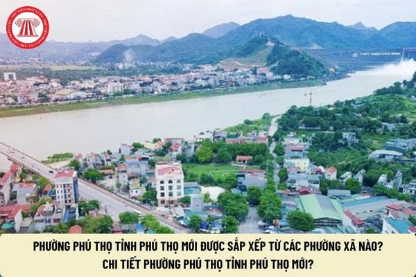 Pháp luật