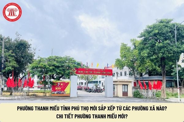 Pháp luật