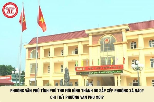 Pháp luật