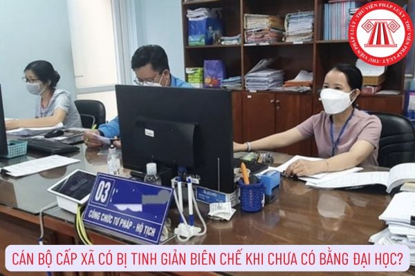 Cán bộ cấp xã có bị tinh giản biên chế khi chưa có bằng đại học?