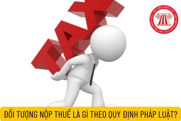 Pháp luật