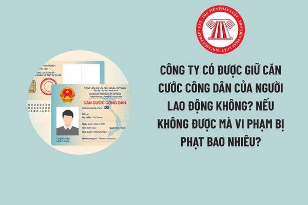 Pháp luật