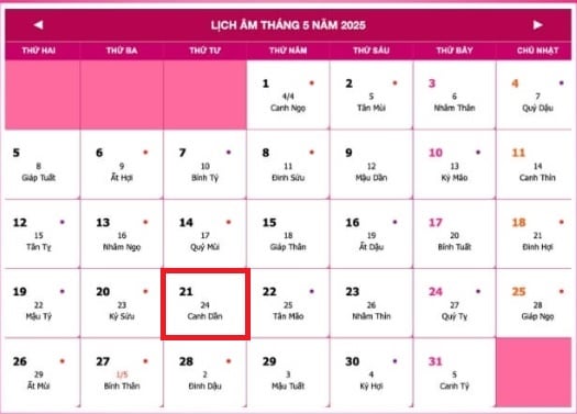 Đa dạng văn hóa và nhân quyền trong Tuyên ngôn thế giới về đa dạng văn hóa như thế nào?