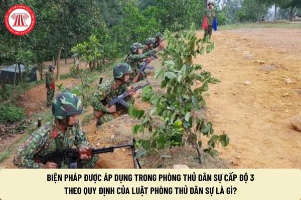 Pháp luật